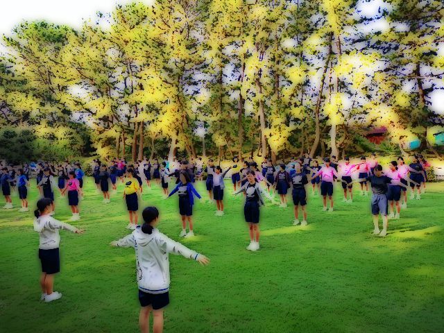 合宿朝体操